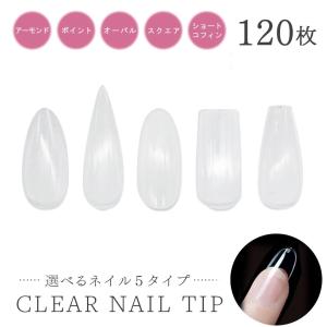 ネイル チップ ネイルチップ 付け爪 クリア ベリーショート