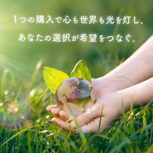 開運石 ランダム 1粒 レビューでチャリティー...の詳細画像2