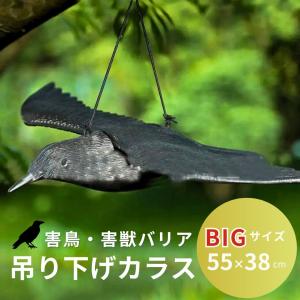 鳥よけ 鷹 タカ 鷲 棒セット 鳥おどし 鳥よけ凧 ワシ 猛禽類 吊り下げ