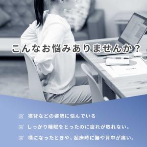 腰神 低反発枕 安眠 全2カラー 腰枕 洗濯可...の詳細画像2