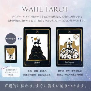 正規品 豪華特典付き ゴールデンブラックキャッ...の詳細画像2