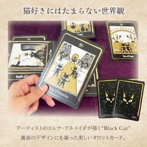 正規品 豪華特典付き ゴールデンブラックキャッ...の詳細画像3