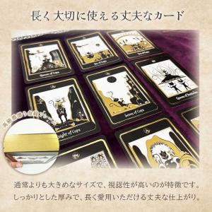 正規品 豪華特典付き ゴールデンブラックキャッ...の詳細画像4