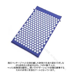 経絡マッサージ 痛みリラックス トレーニング ...の詳細画像4