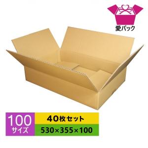 愛パックダンボール ダンボール箱 段ボール 100サイズ 白 40枚セット