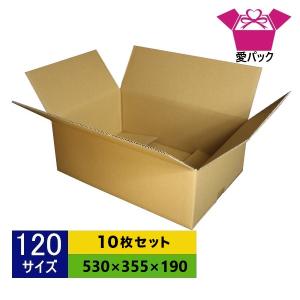 フレッシュギンヨウアカシア ダンボールいっぱい 今日ご購入の方500円引き 愛パックダンボール ダンボール箱 強化段ボール 120サイズ 20枚セット