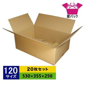 愛パックダンボール ダンボール箱 強化段ボール 120サイズ 10枚セット