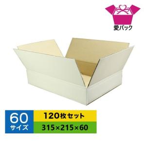 愛パックダンボール ダンボール箱 段ボール 100サイズ 白 10枚セット