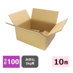 ダンボール箱 強化段ボール 100サイズ みかん5kg用 10枚セット 日本製 無地 厚み...