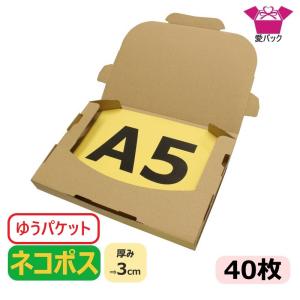 箱 3cm A5 段ボール ダンボール クリックポスト 40枚 日本製 無地 薄型素材 236×160×28の商品画像