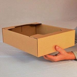 ダンボール箱 トマト(1.5k〜2k用) 10...の詳細画像1
