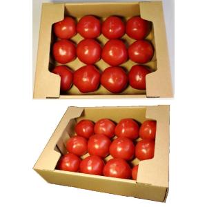 ダンボール箱 トマト(1.5k〜2k用) 10...の詳細画像2