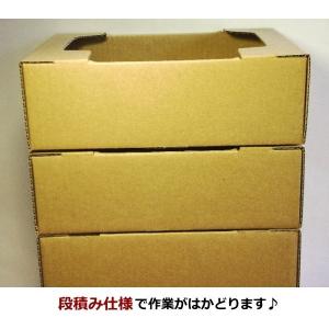 ダンボール箱 トマト(1.5k〜2k用) 10...の詳細画像3
