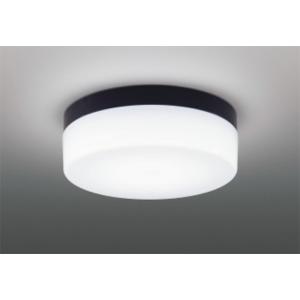 東芝ライテック (手配品) LEDアウトドアシーリングランプ別売