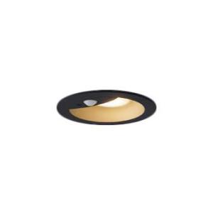 Panasonic（パナソニック） 受注品 NNFB93045Z 非常灯 専用形 中天井用