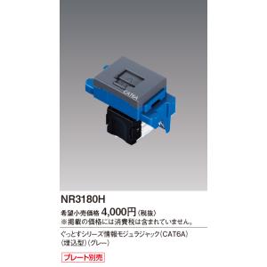 Panasonic パナソニック(Panasonic) 情報CAT6Aモジュラー Panasonic パナソニック(Panasonic) 情報CAT6Aモジュラー