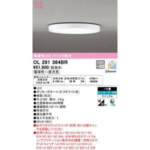 シーリングライト 〜8畳用 常夜灯付 調光器不可 OL291364BR オーデリックの商品画像