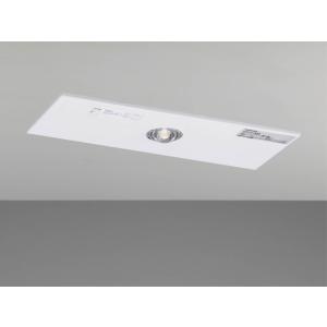 東芝ライテック (表示パネル付・送料無料) C級天壁直付片面誘導灯