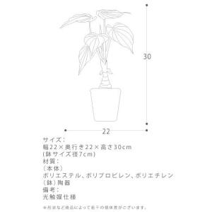 観葉植物 フェイクグリーン 光触媒 アロカシア...の詳細画像2