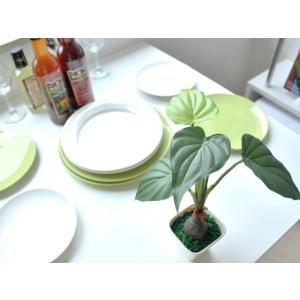 観葉植物 フェイクグリーン 光触媒 アロカシア...の詳細画像5