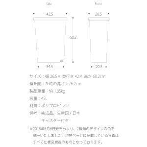 ゴミ箱 45リットル おしゃれ ダストボックス...の詳細画像5