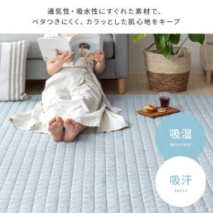 ラグ ラグマット カーペット 夏用 夏用ラグ ...の詳細画像5
