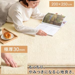 ラグ ラグマット 北欧 おしゃれ 正方形 200×200cm シャギーラグ らぐ
