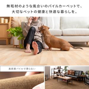 カーペット おしゃれ 北欧 パイルカーペット ...の詳細画像5