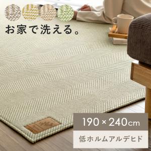 ラグ カーペット ラグマット 洗える おしゃれ ...の商品画像