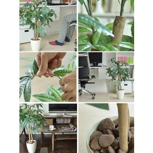 観葉植物 フェイクグリーン 光触媒 パキラ 人...の詳細画像1