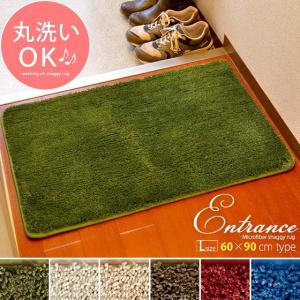 玄関マット 室内 屋内 洗える 滑り止め 60×90 玄関ラグ 玄関用マット おしゃれ シンプル 人気 北欧 モダン マイクロファイバー シャギーラグ