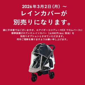 【公式】エアバギー ココ ブレーキEX フロム...の詳細画像1