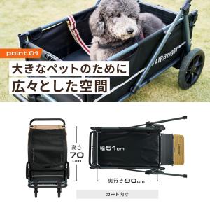 【公式】エアバギー エアクルーザー [ベース・...の詳細画像3