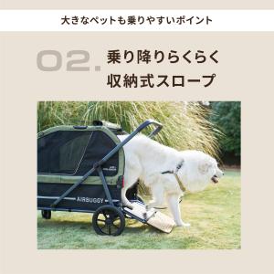 【公式】エアバギー エアクルーザー [ベース・...の詳細画像5