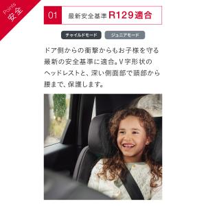 【日本正規代理店】ブリタックス エボルバフィッ...の詳細画像4