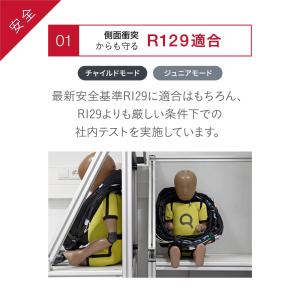 【日本正規代理店】ブリタックス アドバンザフィ...の詳細画像3