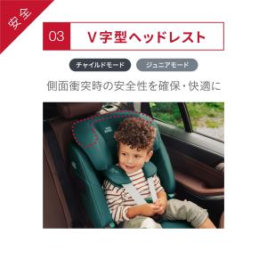 【日本正規代理店】ブリタックス アドバンザフィ...の詳細画像5