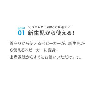 【公式】エアバギー 着せ替えシート&キャノピー...の詳細画像2