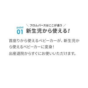 【公式】エアバギー 着せ替えシート&キャノピー...の詳細画像2