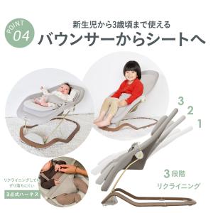 マキシコシ ドーヴ プロ [Maxi-Cosi...の詳細画像5