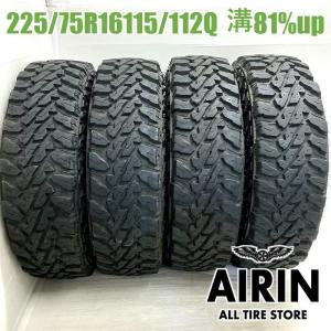 TOYO TIRES（トーヨータイヤ） ライズ ロッキー 195/65R16 送料無料