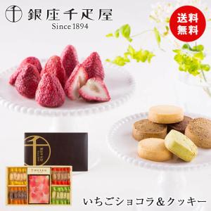 ギフト銀座千疋屋 いちごショコラ＆クッキー PGS-254 食品ギフト
