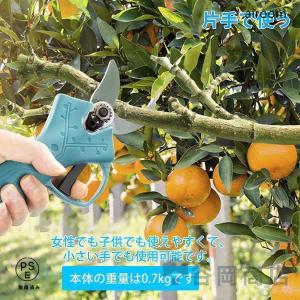 電動剪定ばさみ剪定バサミ枝切ばさみ枝切りバサミ...の詳細画像4