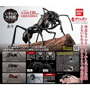 いきもの大図鑑 あり × 全3種セット フルコンプ ガチャガチャ カプセルトイの商品画像