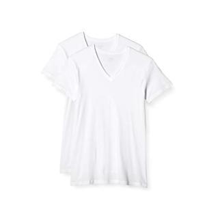 GUNZE STANDARD VネックTシャツ グンゼ 2枚組