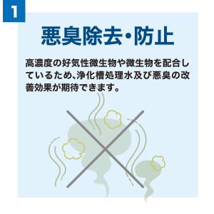 バイオデオクリーン 浄化槽用消臭剤 2g×2包...の詳細画像3
