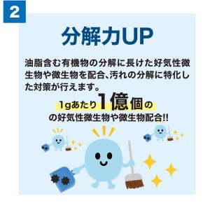 バイオデオクリーン 浄化槽用消臭剤 2g×2包...の詳細画像4