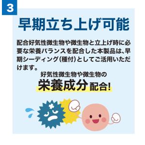 バイオデオクリーン 浄化槽用消臭剤 2g×2包...の詳細画像5