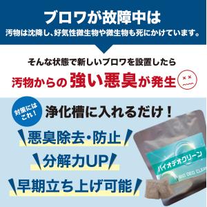 バイオデオクリーン 浄化槽用消臭剤 2g×2包...の詳細画像2