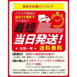 姿勢矯正ベルト 猫背矯正ベルト おすすめ 背骨...の詳細画像4
